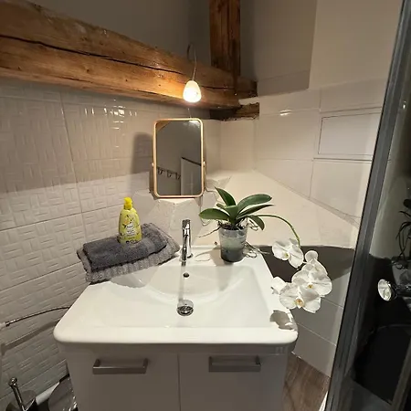 Maisonette In The Historical Center Of Apartment Kosice